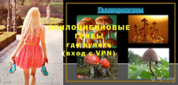 а пвп мука Новозыбков