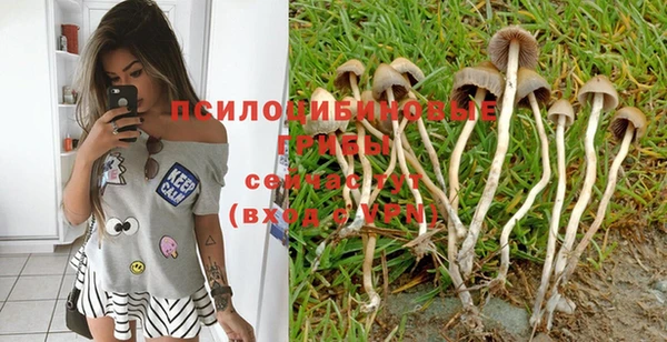 винт Новодвинск