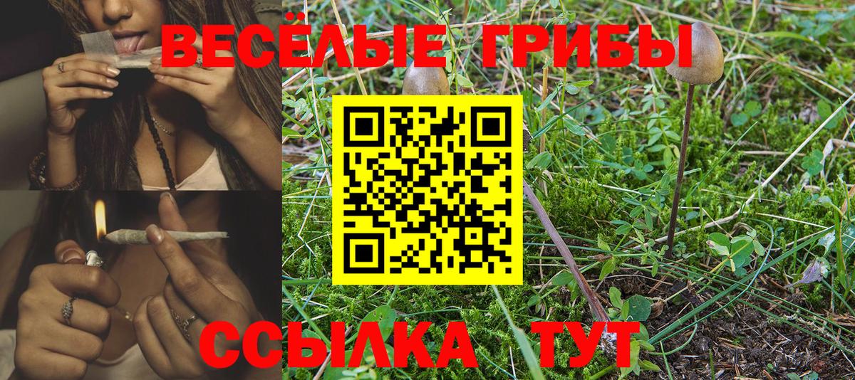 Псилоцибиновые грибы GOLDEN TEACHER  Кинешма 