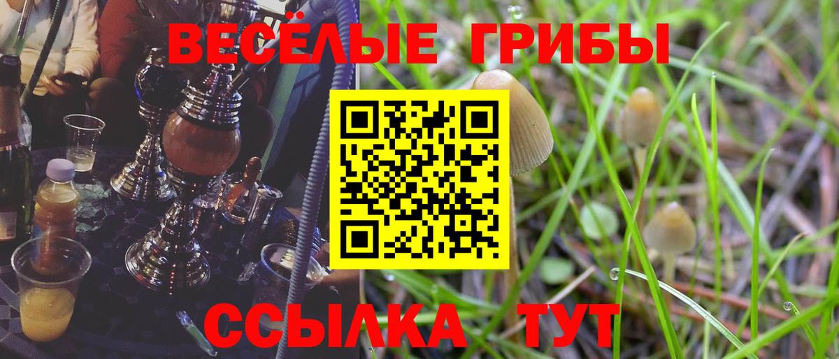 Галлюциногенные грибы MAGIC MUSHROOMS Кинешма